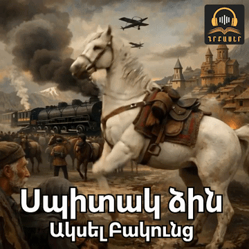 Գրքի նկար
